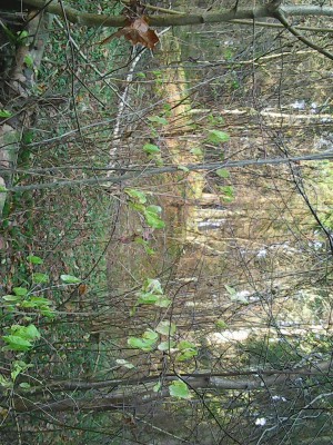 Photo0194.jpg