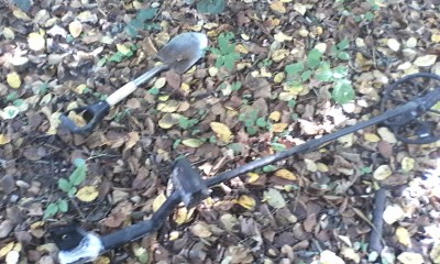 IMG_20141019_112202.jpg