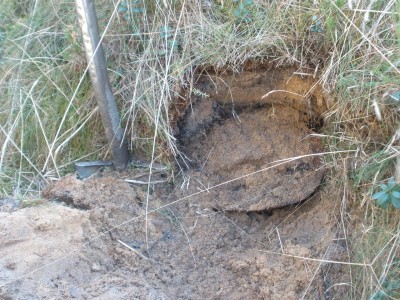 PA290134.JPG