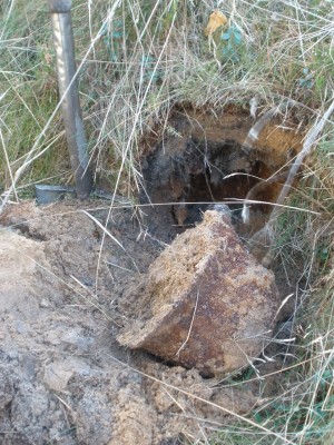 PA290135.JPG