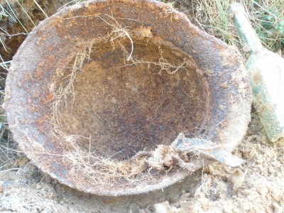PA290139.JPG