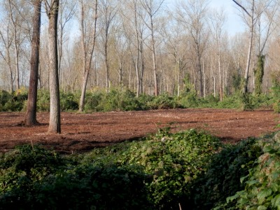 PB010843.JPG