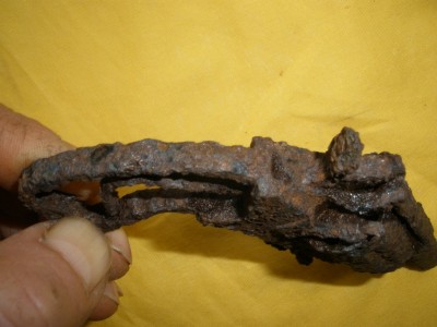 PB110126.JPG