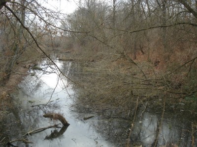 DSC00070.JPG