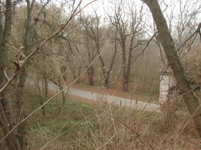 DSC00074.JPG