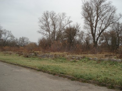 DSC00113.JPG