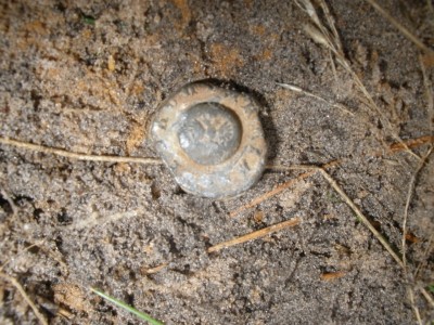 PB160112.JPG