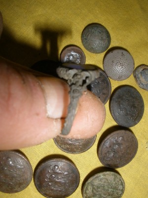 PB160131.JPG