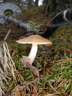PB170112.JPG