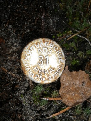 PB170115.JPG