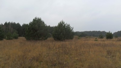 SAM_2260.JPG