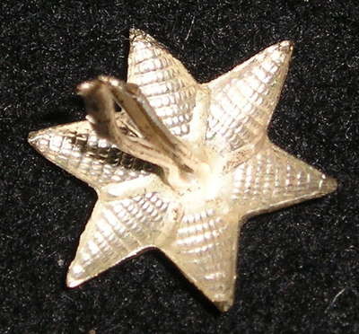 zv 002.jpg