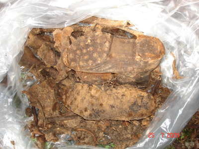 leto_ijulj 066.jpg