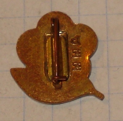 DSC01348.JPG