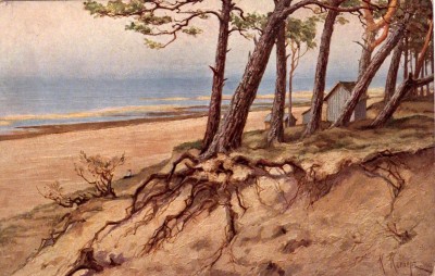 K. Klevers 001.jpg