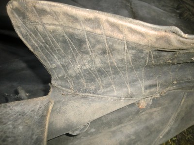 CIMG6094.JPG