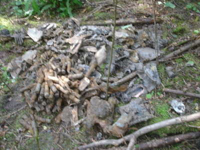 DSC01709.JPG