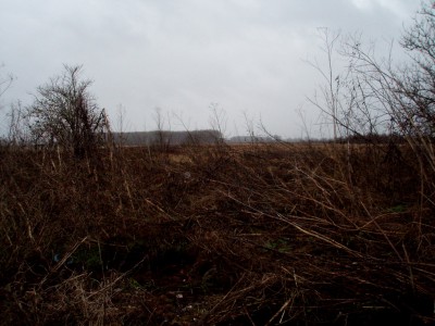 P1104405.JPG
