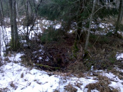2015-02-14_12-14-08_804 (Medium).jpg