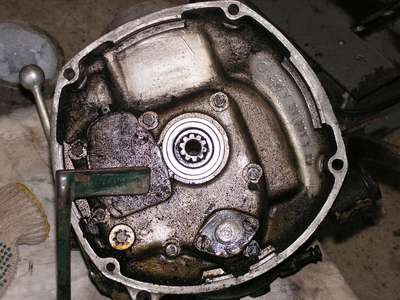 PICT1254.jpg