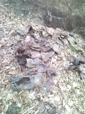 SNC01681.jpg
