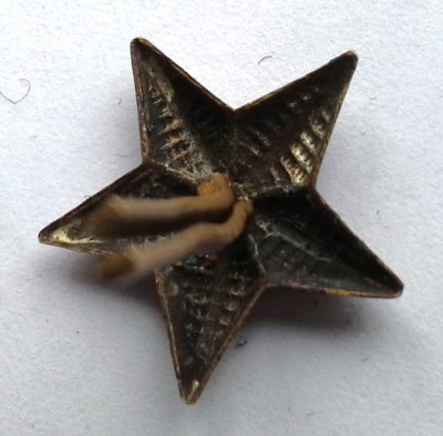 20150305_103243.jpg