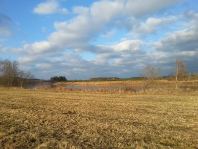 20150310_162847.jpg