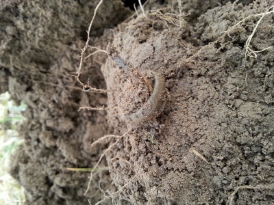 20150310_160938.jpg