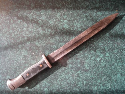 bildiites 005.jpg