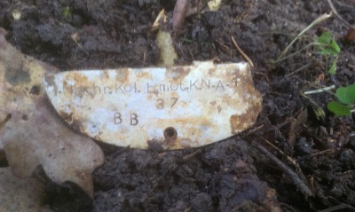 12.03.2015 006.jpg