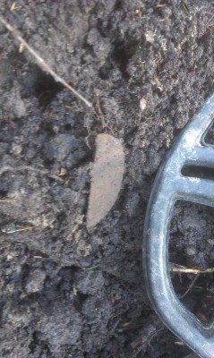 12.03.2015 009.jpg