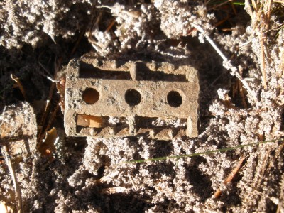 P3120153.JPG