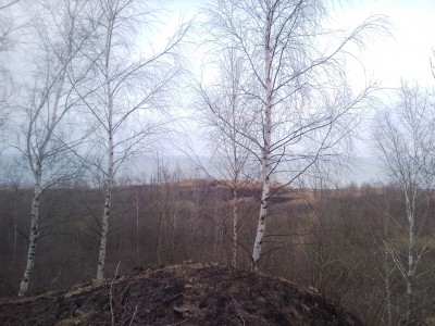 SNC01718.jpg