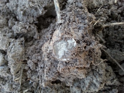 20150316_105737.jpg