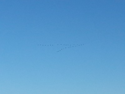 20150316_090317.jpg