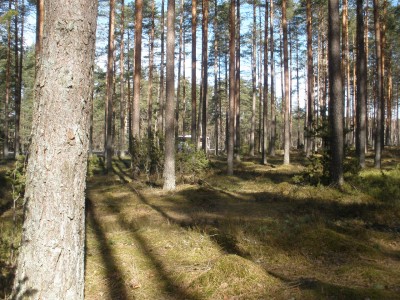 P3180127.JPG
