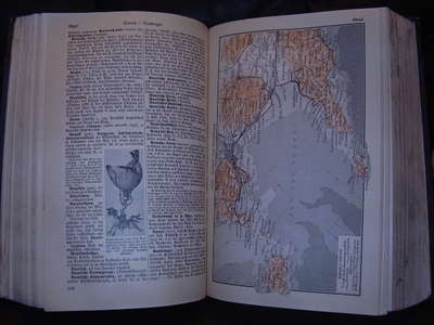 P1010005.JPG
