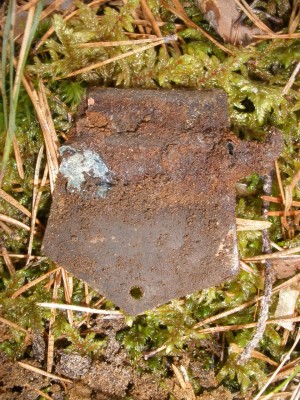 P3220176.JPG