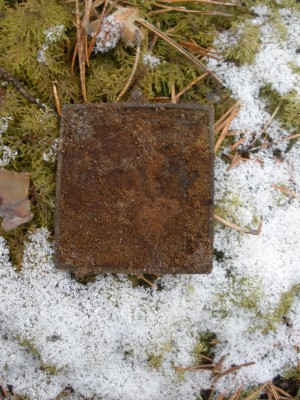 P3220180.JPG