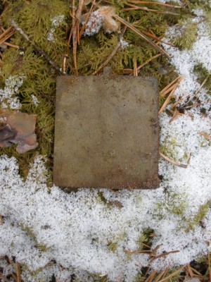 P3220181.JPG
