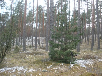 P3220185.JPG