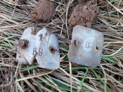 20150325_155859.jpg