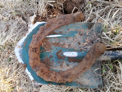 20150325_175945.jpg