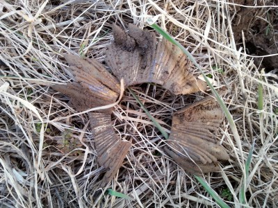 20150325_181203.jpg
