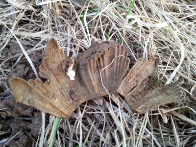 20150325_181217.jpg