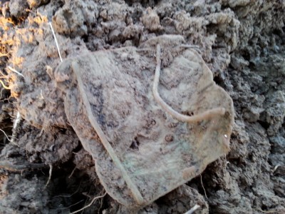 20150325_181811.jpg