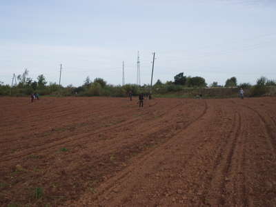Picture 514.jpg