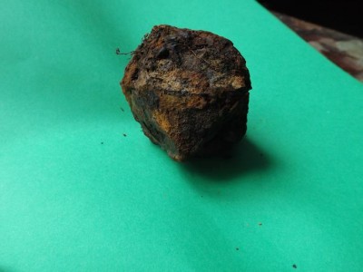 DSCF1581.JPG
