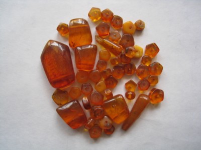 bildiites 045.jpg