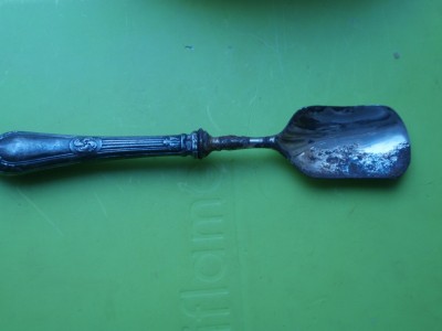 P1260013.JPG